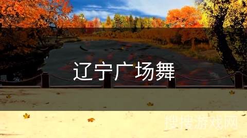 辽宁广场舞
