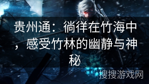 贵州通：徜徉在竹海中，感受竹林的幽静与神秘