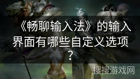 《畅聊输入法》的输入界面有哪些自定义选项？