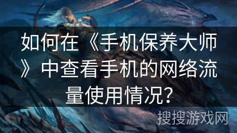 如何在《手机保养大师》中查看手机的网络流量使用情况？