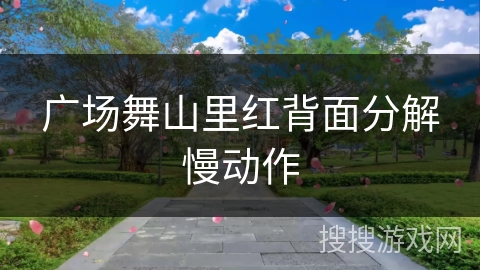 广场舞山里红背面分解慢动作