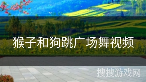 猴子和狗跳广场舞视频