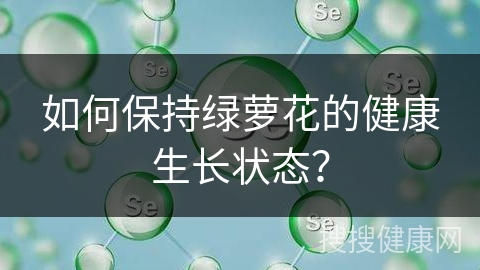 如何保持绿萝花的健康生长状态？