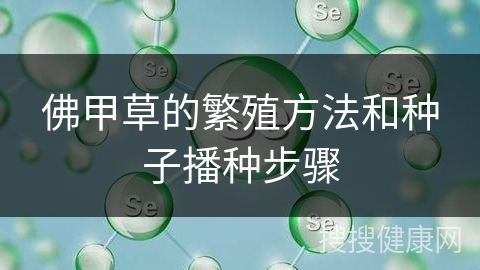 佛甲草的繁殖方法和种子播种步骤