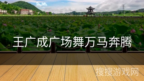 王广成广场舞万马奔腾