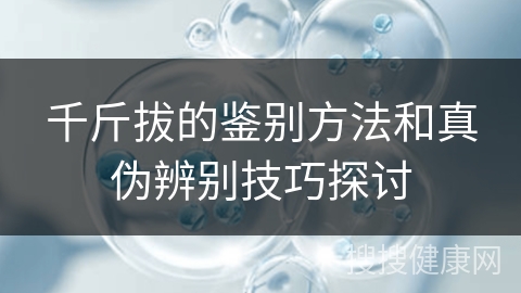 千斤拔的鉴别方法和真伪辨别技巧探讨