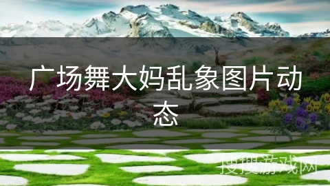 广场舞大妈乱象图片动态