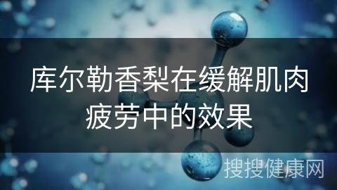 库尔勒香梨在缓解肌肉疲劳中的效果