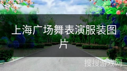 上海广场舞表演服装图片