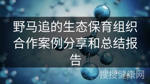 野马追的生态保育组织合作案例分享和总结报告