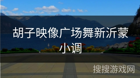 胡子映像广场舞新沂蒙小调