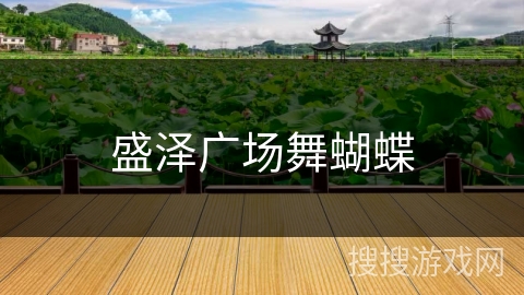 盛泽广场舞蝴蝶