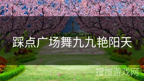 踩点广场舞九九艳阳天