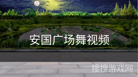 安国广场舞视频