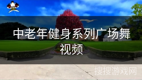 中老年健身系列广场舞视频