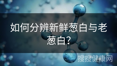 如何分辨新鲜葱白与老葱白？