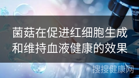 菌菇在促进红细胞生成和维持血液健康的效果