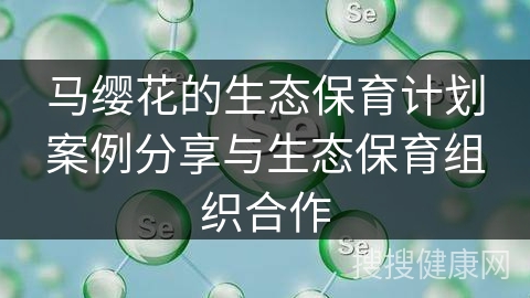 马缨花的生态保育计划案例分享与生态保育组织合作