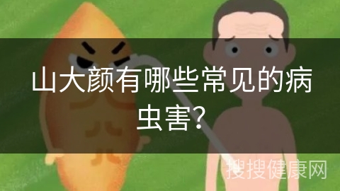 山大颜有哪些常见的病虫害？