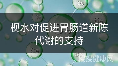 枧水对促进胃肠道新陈代谢的支持