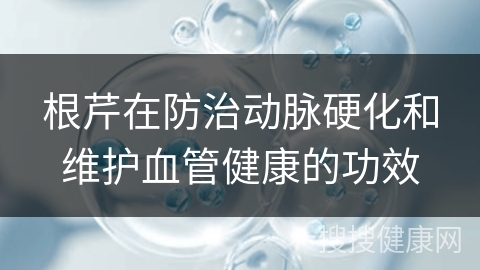 根芹在防治动脉硬化和维护血管健康的功效