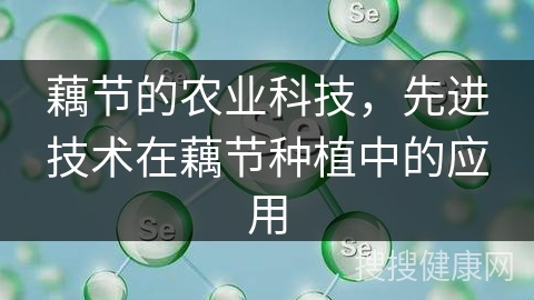 藕节的农业科技，先进技术在藕节种植中的应用