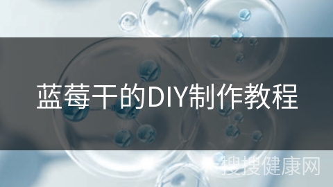 蓝莓干的DIY制作教程