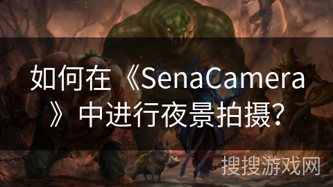 如何在《SenaCamera》中进行夜景拍摄？