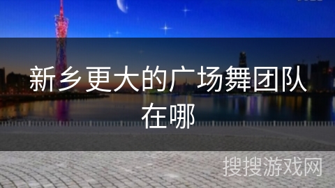 新乡更大的广场舞团队在哪