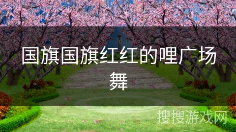 国旗国旗红红的哩广场舞