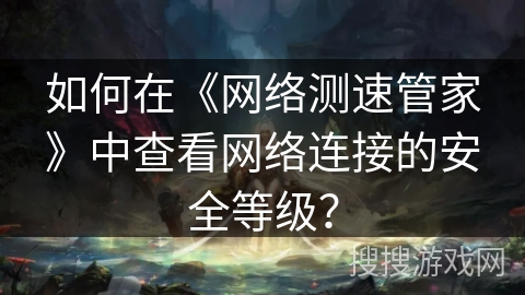 如何在《网络测速管家》中查看网络连接的安全等级？