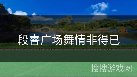 段睿广场舞情非得已