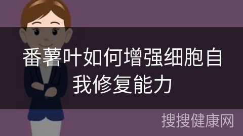 番薯叶如何增强细胞自我修复能力