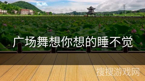 广场舞想你想的睡不觉