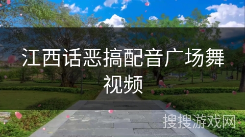 江西话恶搞配音广场舞视频