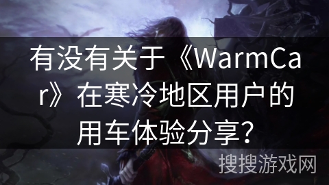 有没有关于《WarmCar》在寒冷地区用户的用车体验分享？