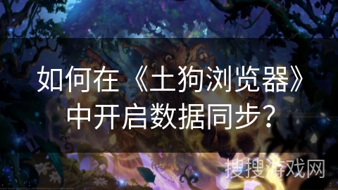 如何在《土狗浏览器》中开启数据同步？