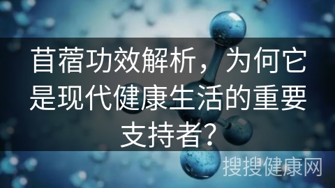 苜蓿功效解析，为何它是现代健康生活的重要支持者？