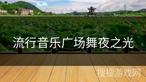 流行音乐广场舞夜之光 流行音乐广场舞夜之光