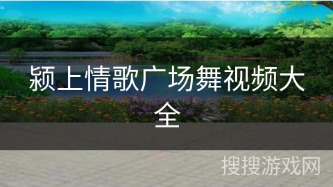 颍上情歌广场舞视频大全