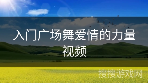 入门广场舞爱情的力量视频
