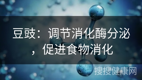 豆豉：调节消化酶分泌，促进食物消化