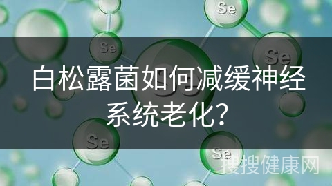 白松露菌如何减缓神经系统老化？