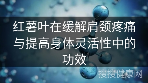 红薯叶在缓解肩颈疼痛与提高身体灵活性中的功效