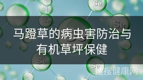 马蹬草的病虫害防治与有机草坪保健