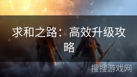 求和之路：高效升级攻略