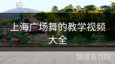 上海广场舞的教学视频大全