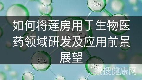 如何将莲房用于生物医药领域研发及应用前景展望