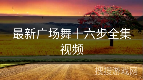 最新广场舞十六步全集视频