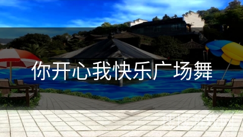 你开心我快乐广场舞